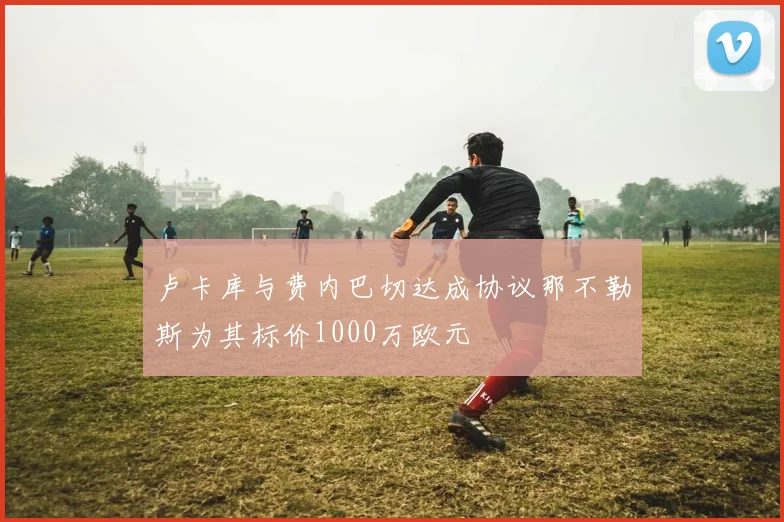 卢卡库与费内巴切达成协议那不勒斯为其标价1000万欧元